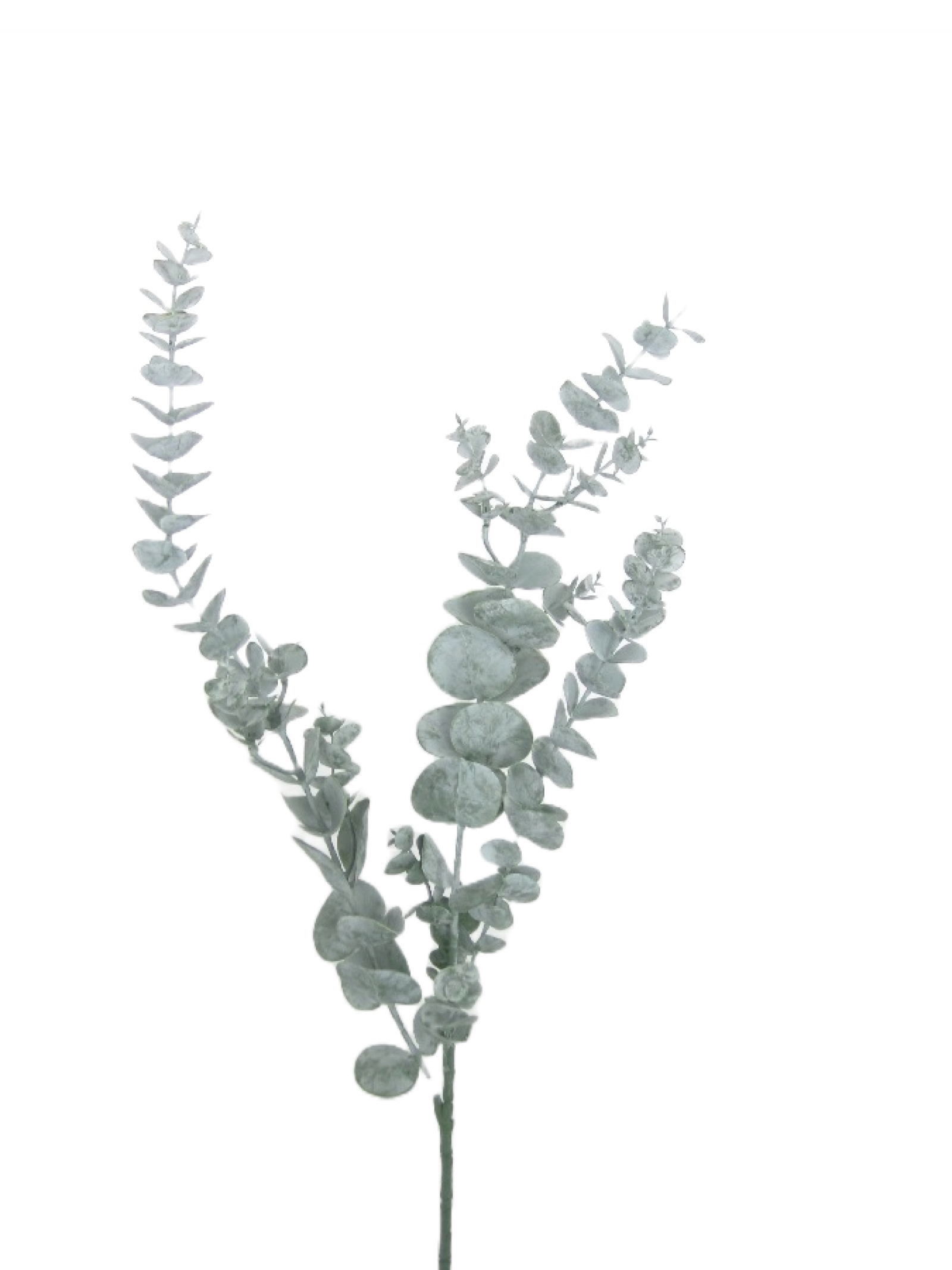 Eucalyptus L103cm gruen 220548-42